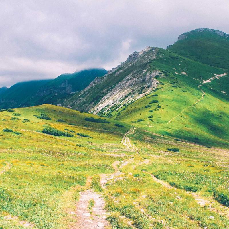 Festive Dry Fruit Cake